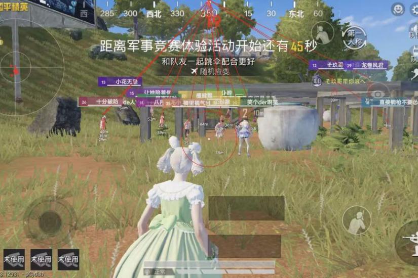 和平精英辅助插件展示图1